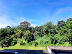 Springleaf Garden (D26), Semi-Detached #357817541